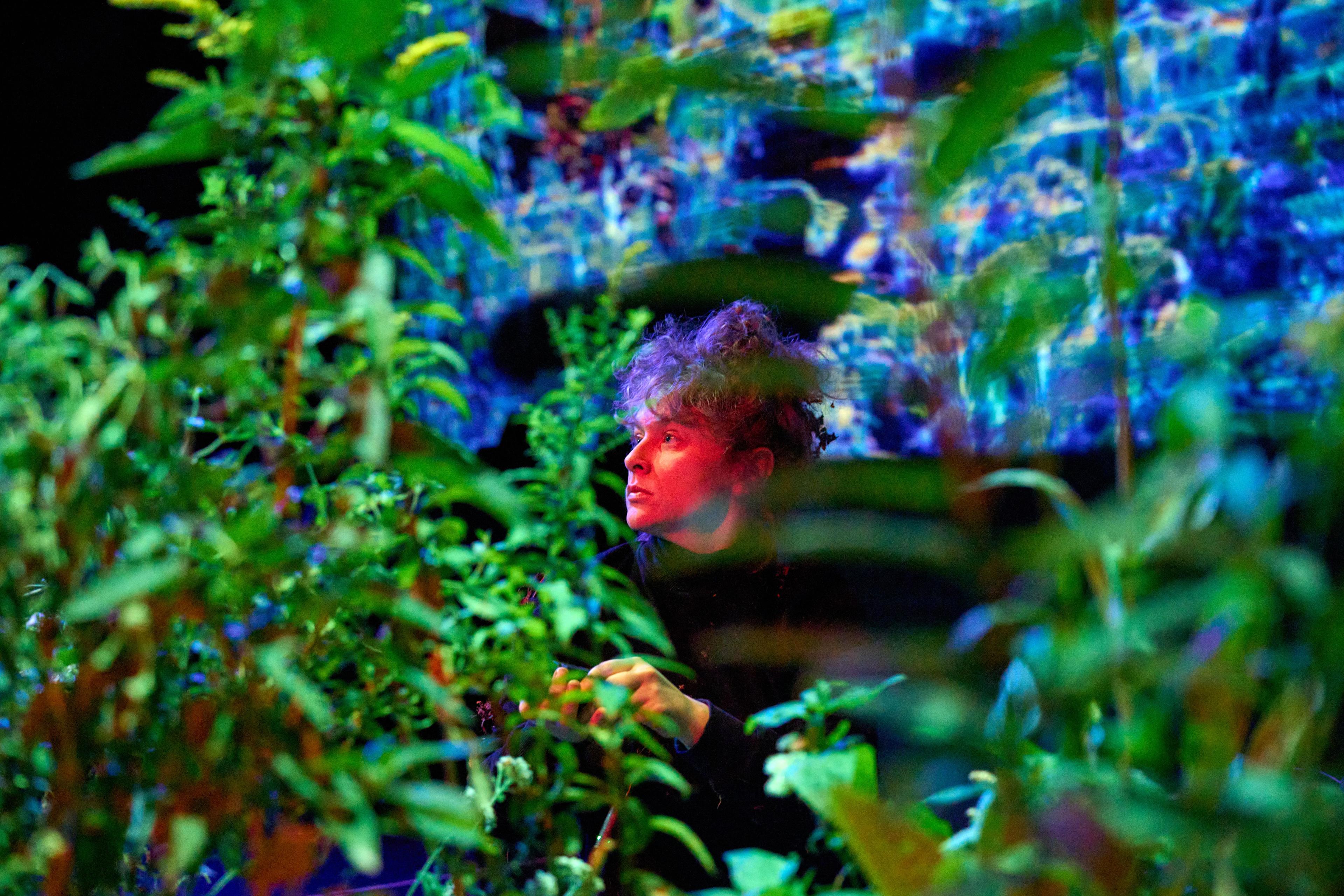 FALLOPIA at The Voxel