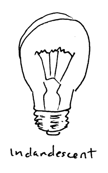 incandescent light bulb